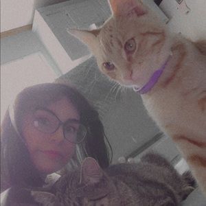 Meet your Posher, Harmony